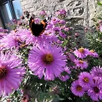 Bienvenue Du Cote De Chez Nous Avec Jardin Privatif