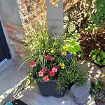 Bienvenue Du Cote De Chez Nous Avec Jardin Privatif * Wignehies