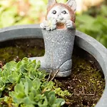 Bienvenue Du Cote De Chez Nous Avec Jardin Privatif Wignehies