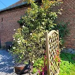 Bienvenue Du Cote De Chez Nous Avec Jardin Privatif Apartament Wignehies