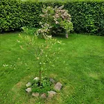 Bienvenue Du Cote De Chez Nous Avec Jardin Privatif アパート