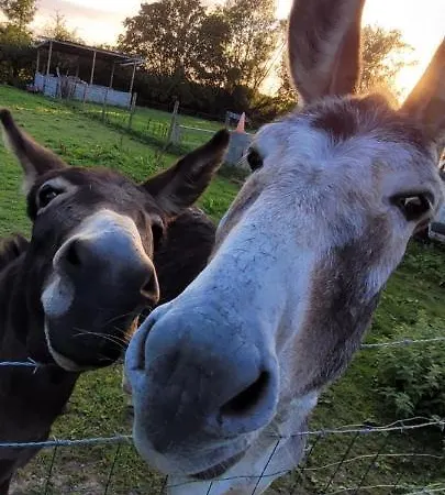 Bienvenue Du Cote De Chez Nous Avec Jardin Privatif Apartament