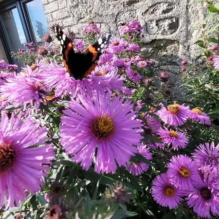 Bienvenue Du Cote De Chez Nous Avec Jardin Privatif