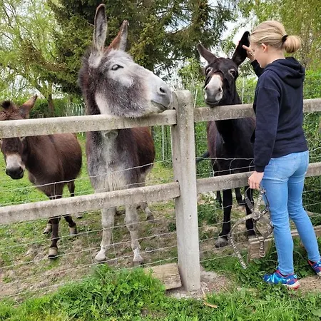 Apartament Bienvenue Du Cote De Chez Nous Avec Jardin Privatif *