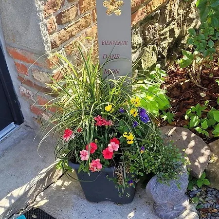 Bienvenue Du Cote De Chez Nous Avec Jardin Privatif * Wignehies