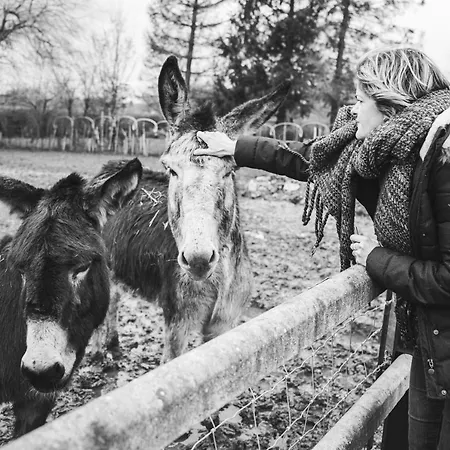 Апартаменты Bienvenue Du Cote De Chez Nous Avec Jardin Privatif Wignehies