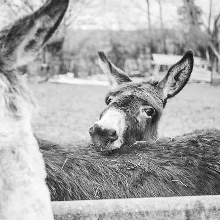 Bienvenue Du Cote De Chez Nous Avec Jardin Privatif Apartament *