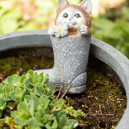 Bienvenue Du Cote De Chez Nous Avec Jardin Privatif Wignehies