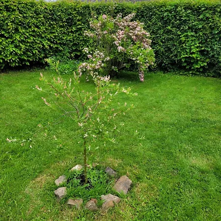 Bienvenue Du Cote De Chez Nous Avec Jardin Privatif Apartment