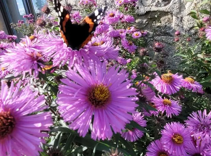 Bienvenue Du Cote De Chez Nous Avec Jardin Privatif