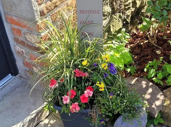 Bienvenue Du Cote De Chez Nous Avec Jardin Privatif * Wignehies