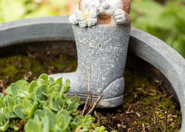 Bienvenue Du Cote De Chez Nous Avec Jardin Privatif Wignehies