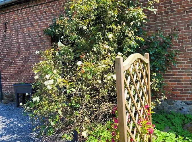 Bienvenue Du Cote De Chez Nous Avec Jardin Privatif Daire Wignehies